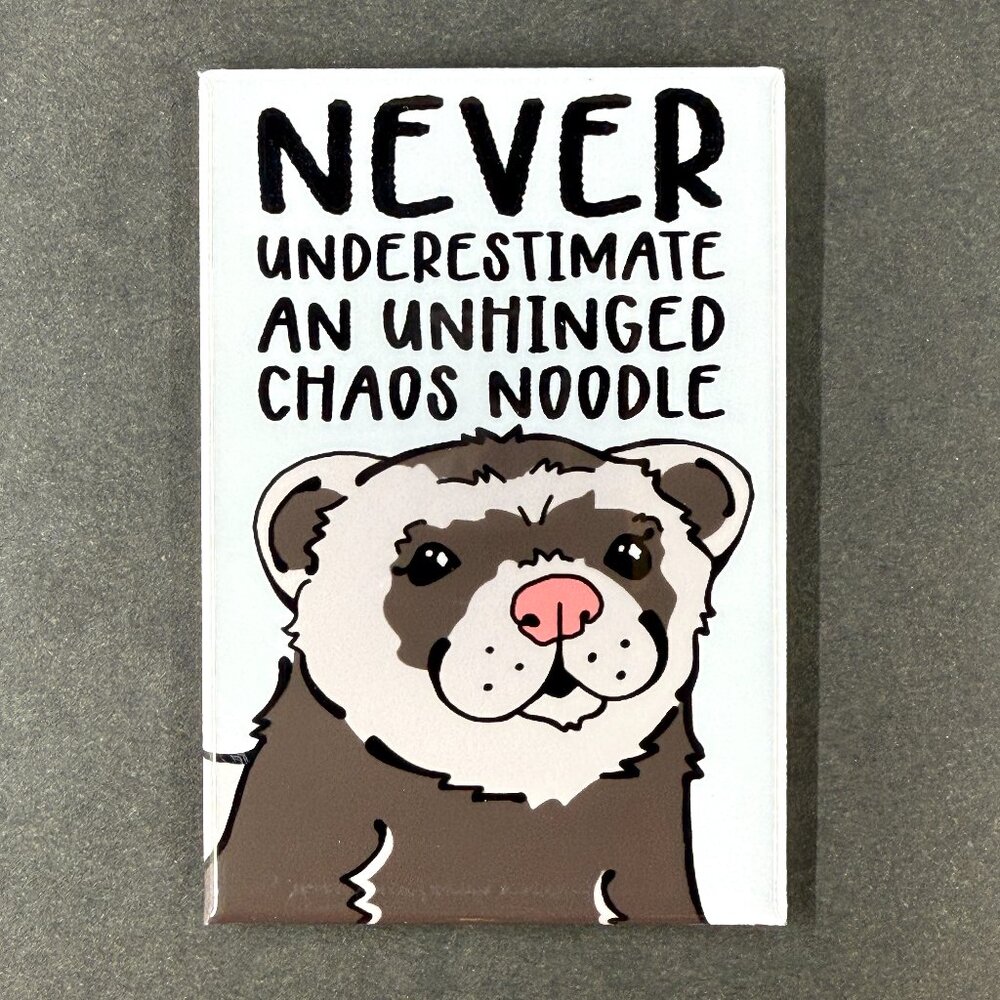 Funny Ferret Chaos Noodle Magnet 2x3" Handmade Mini Pet Portrait Gift 2x3"
